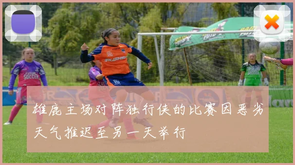雄鹿主场对阵独行侠的比赛因恶劣天气推迟至另一天举行