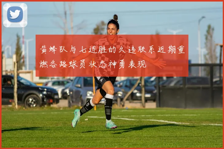 黄蜂队与七连胜的久违联系近期重燃各路球员状态神勇表现