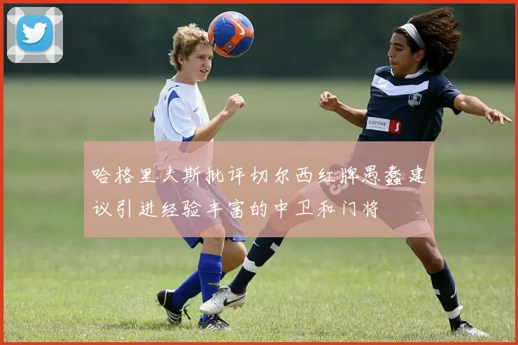 哈格里夫斯批评切尔西红牌愚蠢建议引进经验丰富的中卫和门将